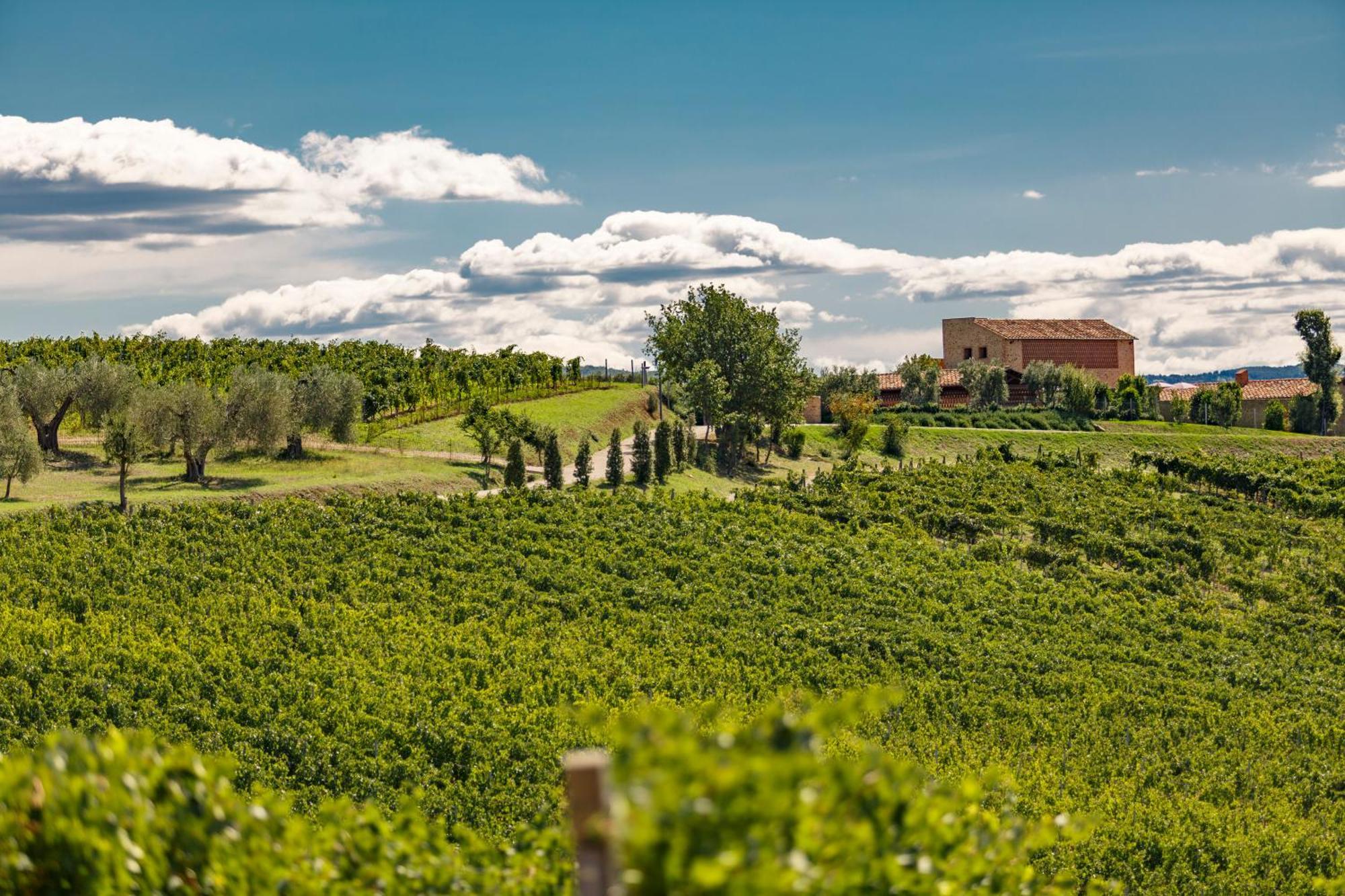 Tenuta Di Montecucco - Collemassari Hospitality Villa Cinigiano Exterior photo