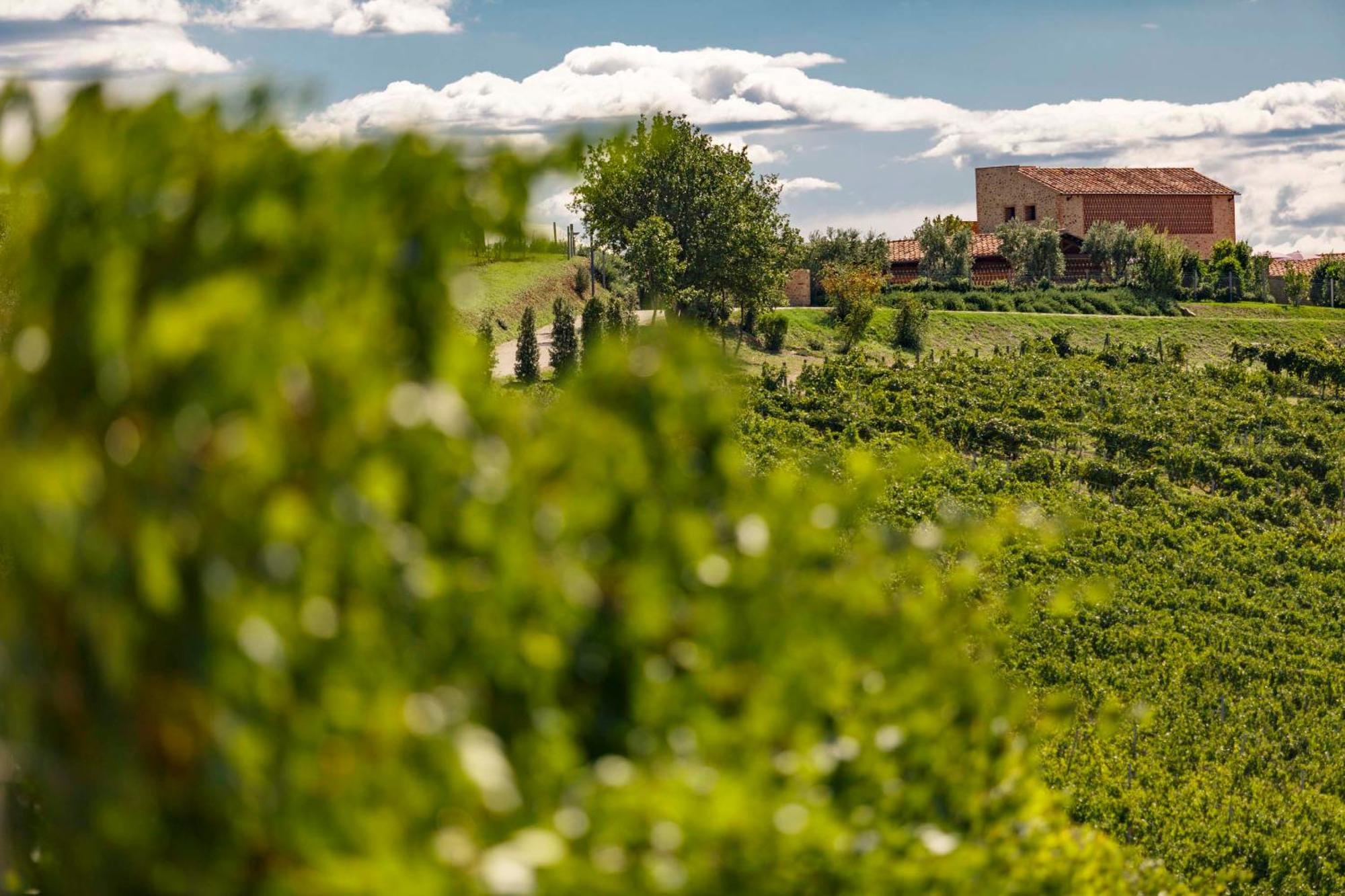 Tenuta Di Montecucco - Collemassari Hospitality Villa Cinigiano Exterior photo